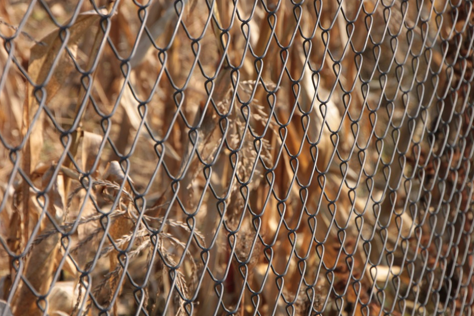 this is a picture of chain link fence in Folsom, CA